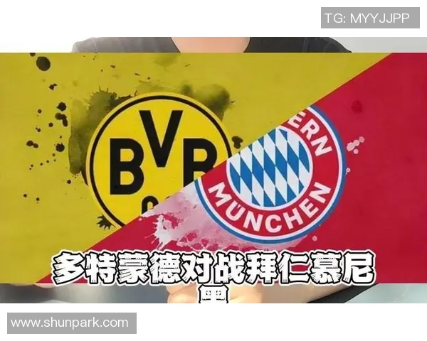 11月8日德甲焦点战多特蒙德对阵拜仁慕尼黑全面分析与预测